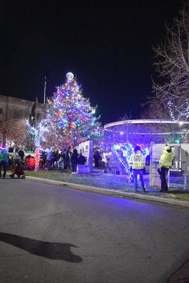 2021 Tree Lighting  Photo