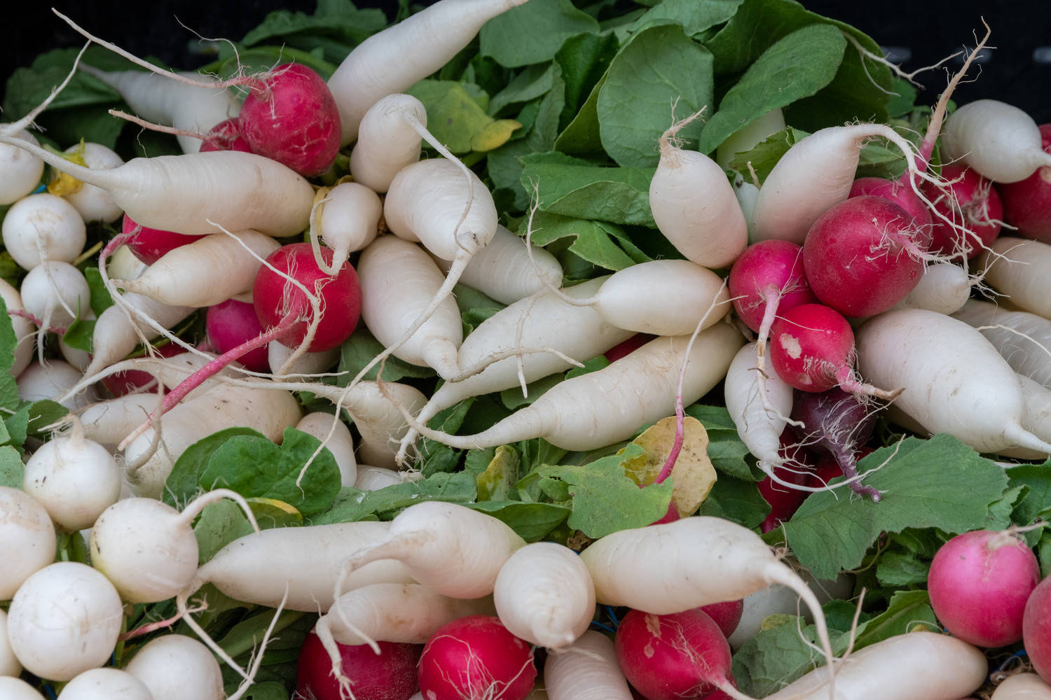 Farmers Market