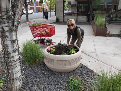 Flowers and Landscaping Photo