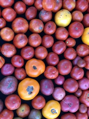 Farmers Market Photo